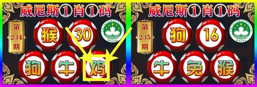 澳门六合网金牛版,最新热门解析实施_精英版121，127.13