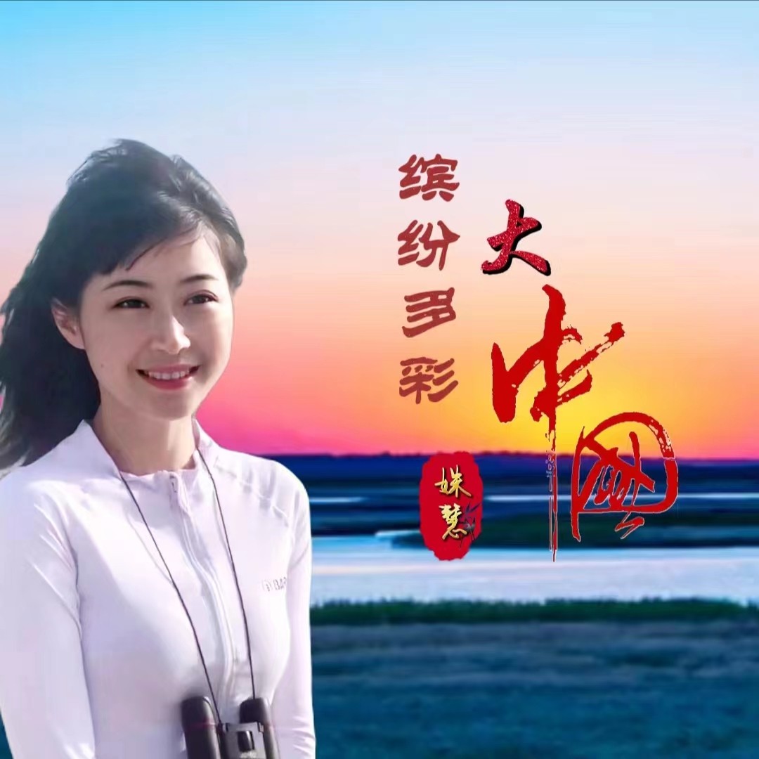 大中国在线观看高清免费大全,准确答案解释落实_3DM4121，127.13