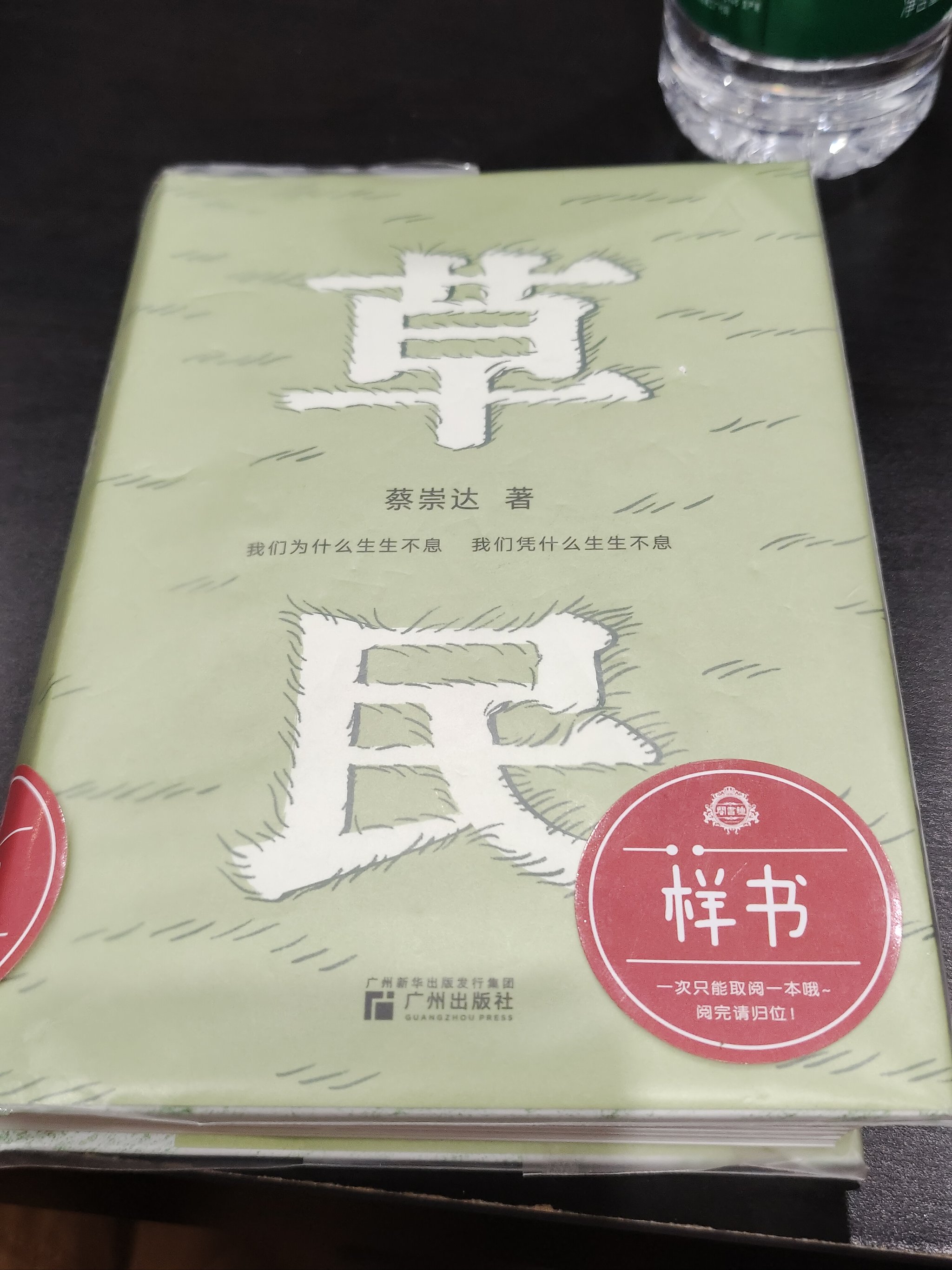 草民电影网论语,数据整合方案实施_投资版121，127.13