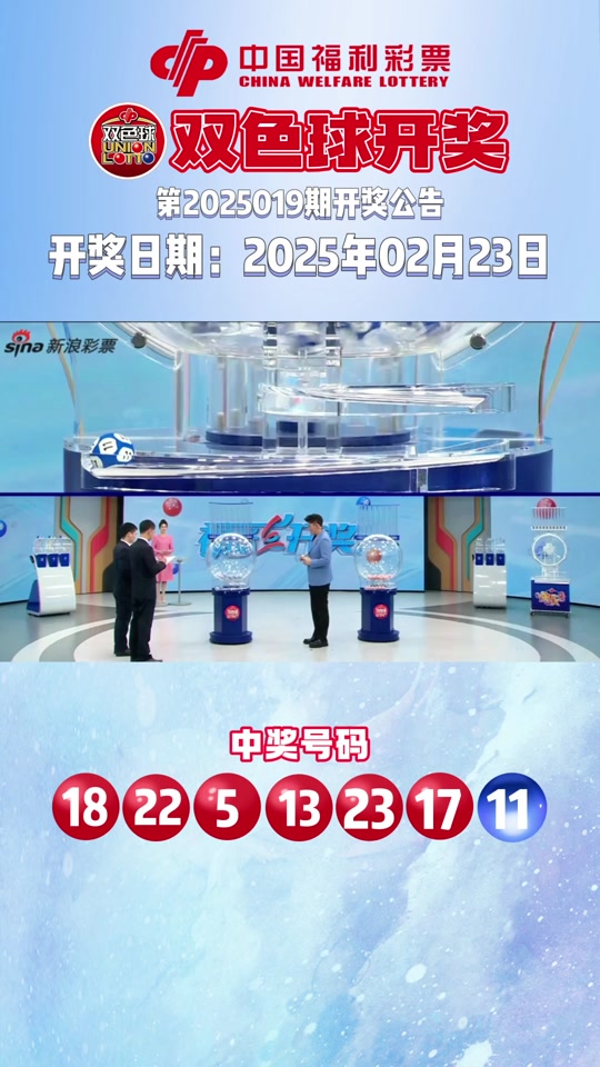 新奥码开奖结果查询,最新热门解析实施_精英版121，127.13