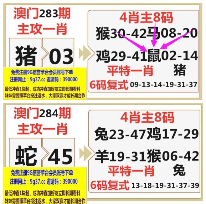 236767澳门资料查看资料,数据整合方案实施_投资版121，127.13