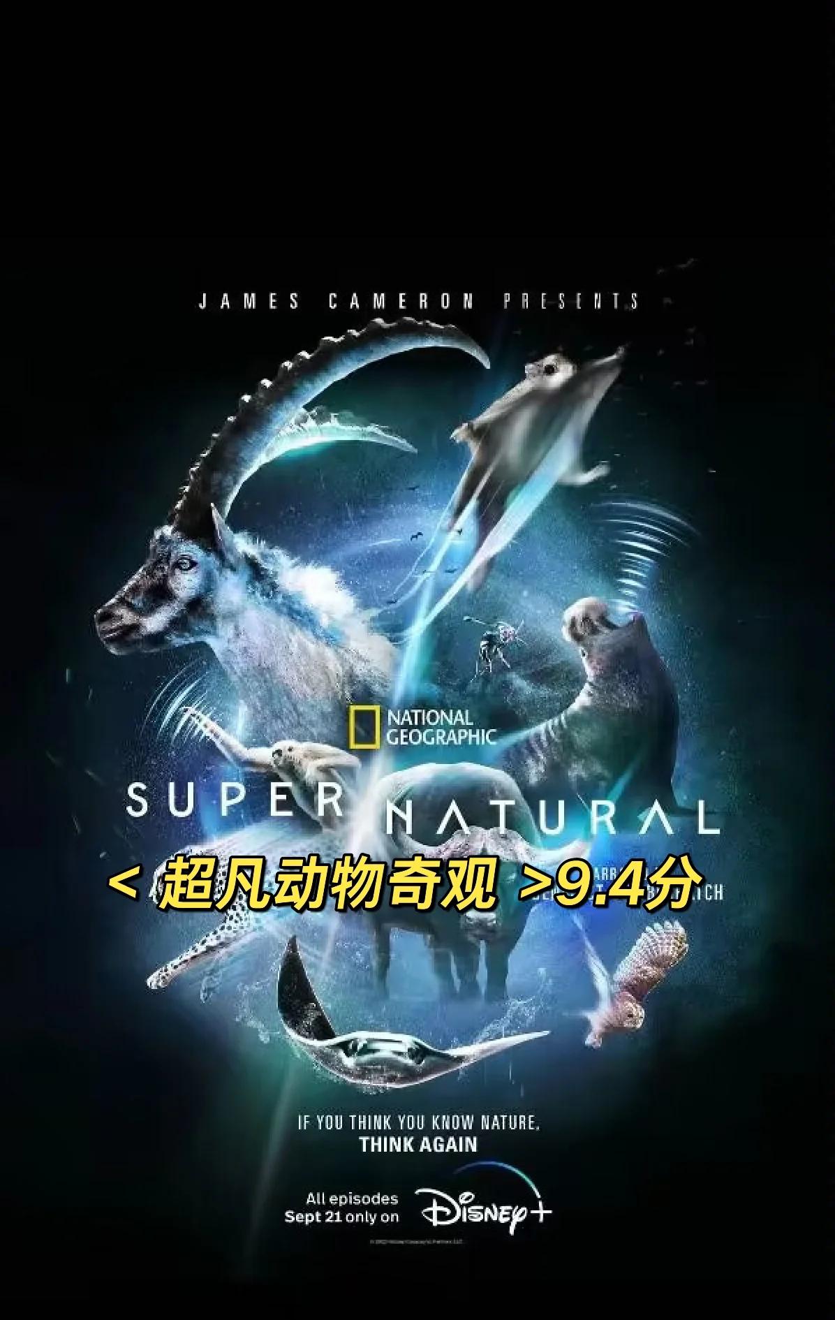 2023豆瓣电影排行榜,豪华精英版79.26.45-江GO121，127.13