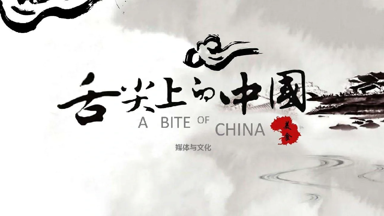 舌尖上的新年纪录片,数据解释落实_整合版121，127.13