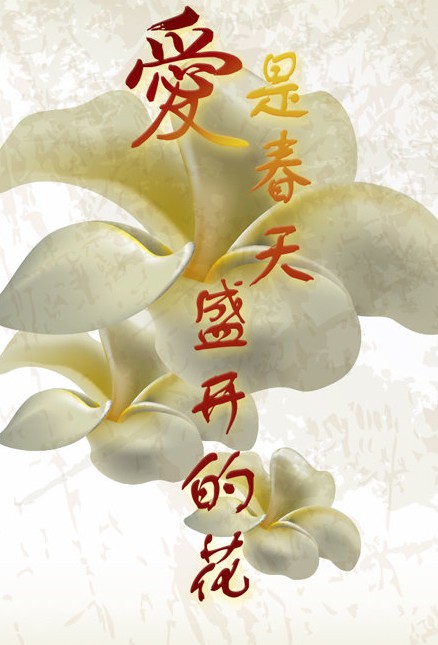 爱在春天来临,资深解答解释落实_特别款72.21127.13.