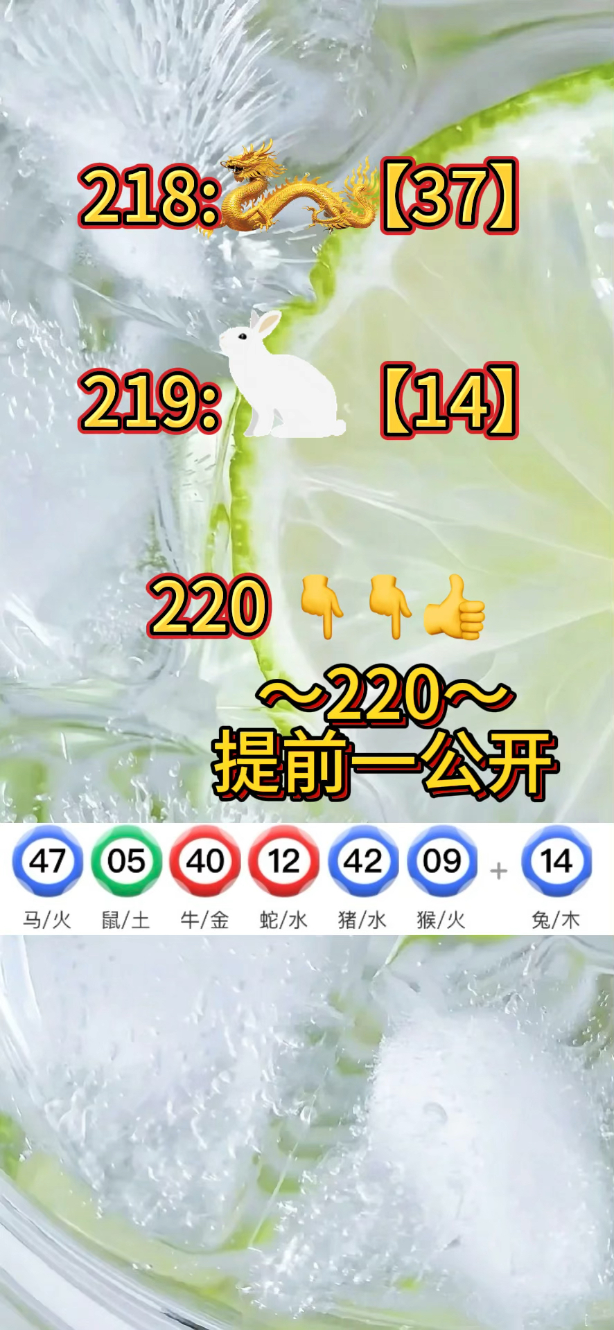 2021澳门免费资料大全281