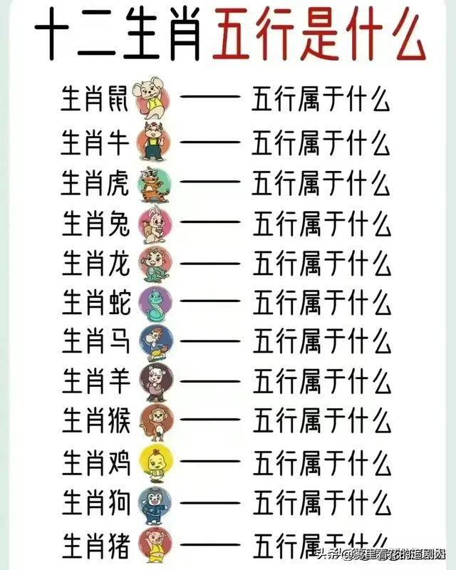 澳门十二生肖表2024,最新热门解析实施_精英版121，127.13