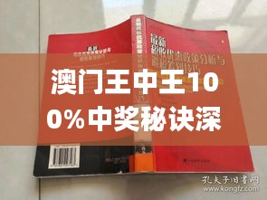王中王72385澳门,最新热门解析实施_精英版121，127.13