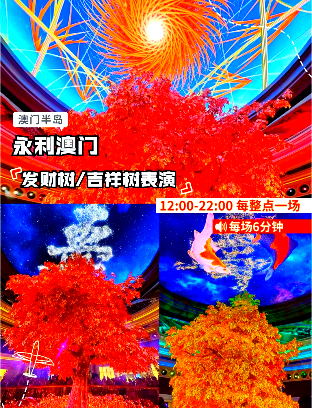 2024澳门天天好开彩大全,最新答案动态解析_vip2121，127.13