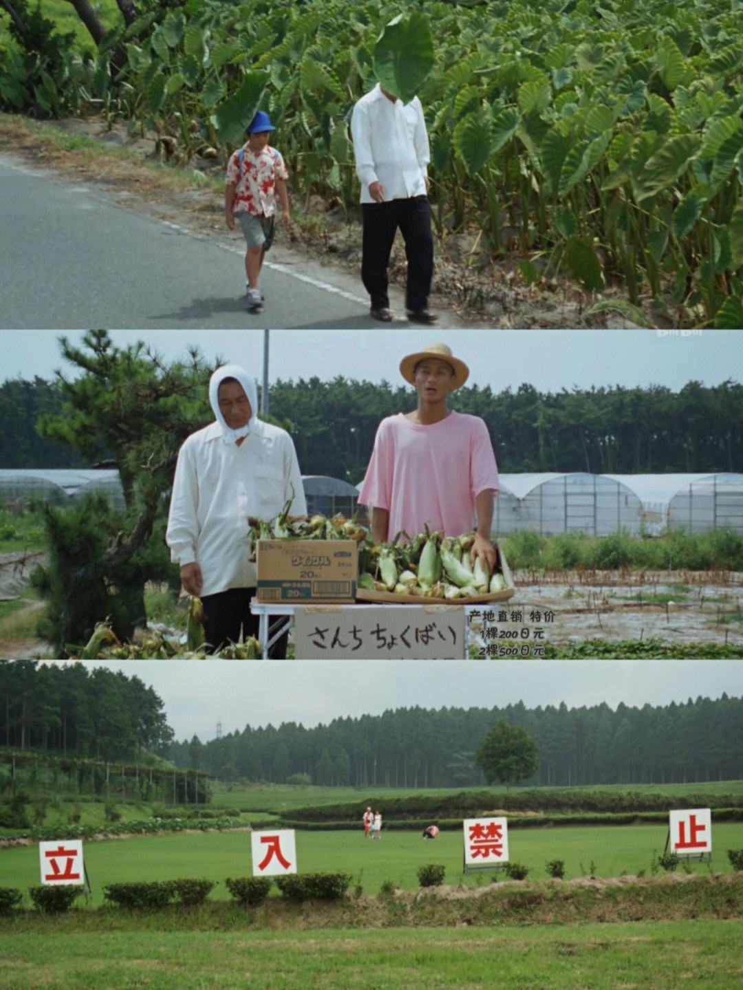 2025年4月1日 第45页