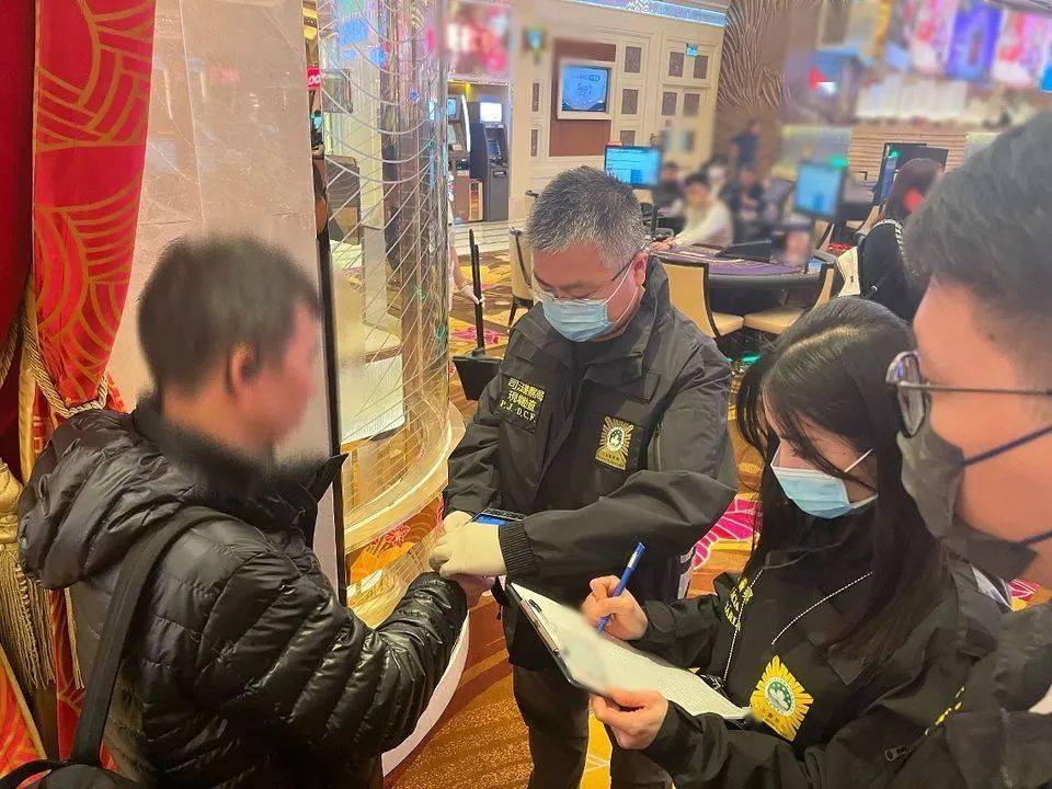 马会传真2024最新版,准确答案解释落实_3DM4121，127.13