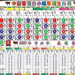 澳门生肖彩开奖结果,准确答案解释落实_3DM4121，127.13