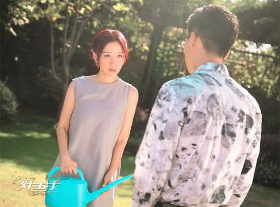 好妻子电视剧免费全集高清在线观看15集