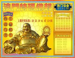 金光佛论坛资料开奖,最新热门解析实施_精英版121，127.13