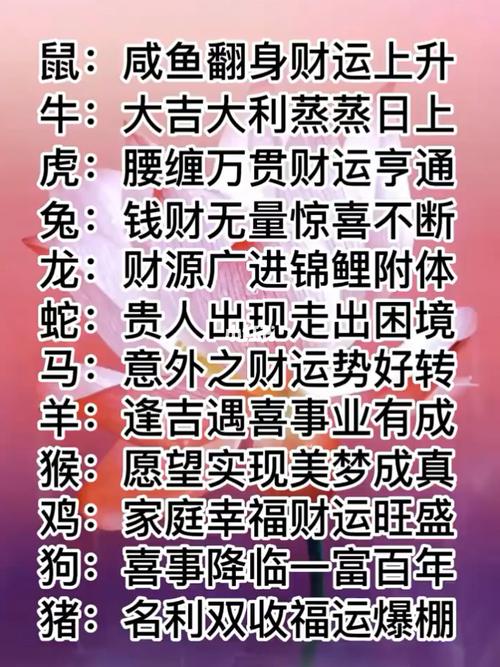三肖带兔赔多少倍,准确答案解释落实_3DM4121，127.13
