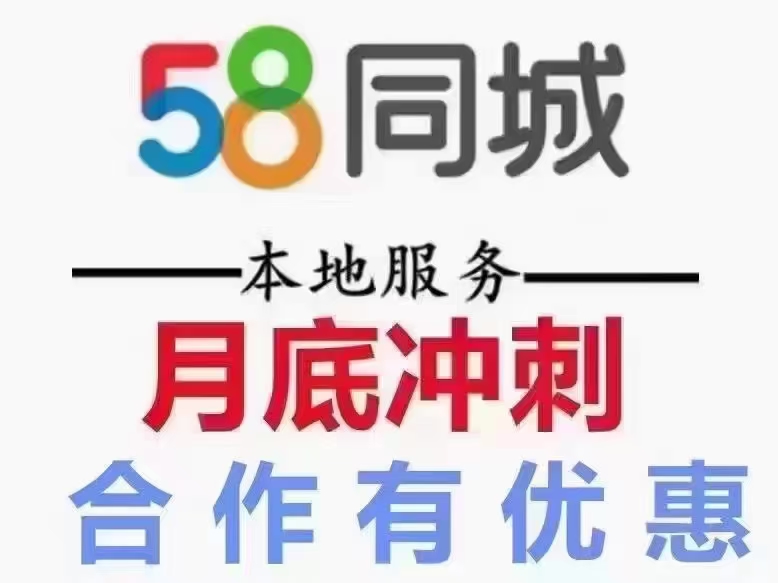 58同城app下载,数据整合方案实施_投资版121，127.13