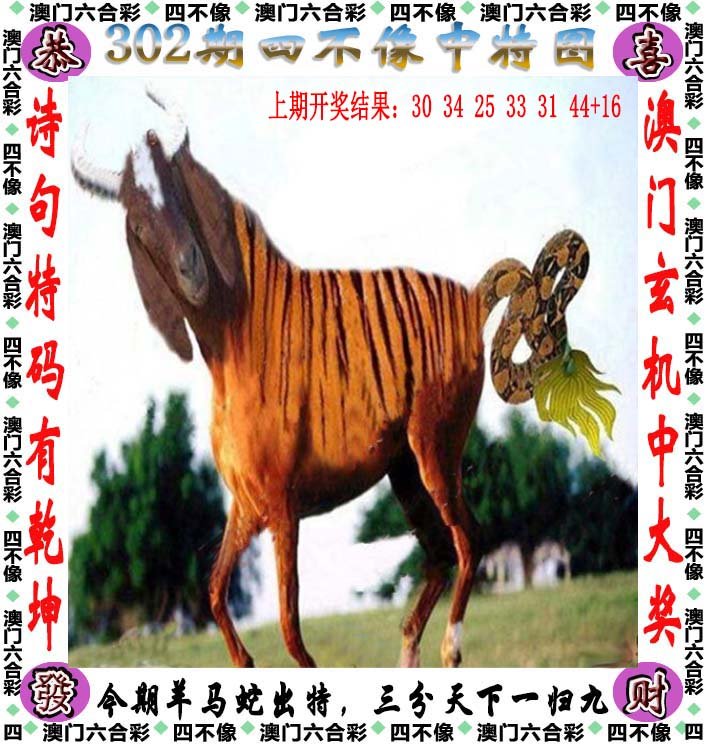 澳门天天好彩全年免费资料大全,最新热门解析实施_精英版121，127.13