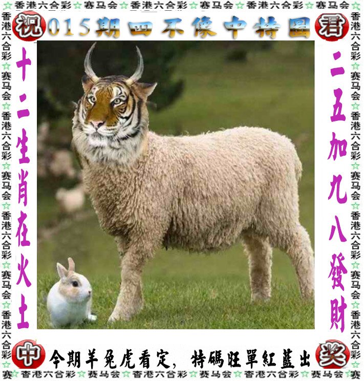 2025年4月2日 第15页