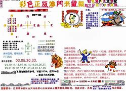 老鼠报论坛公开资料,数据整合方案实施_投资版121，127.13