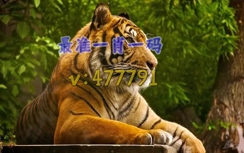 澳门一肖一码100精准99开奖结果,效能解答解释落实_游戏版121，127.12