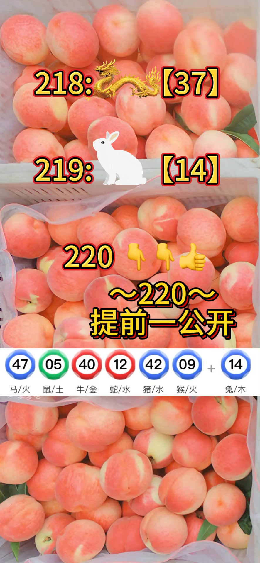 澳门正版资料免费更新258
