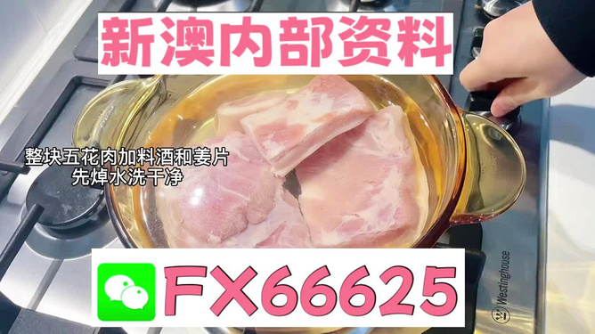 新澳内部码怎么打开,最新热门解析实施_精英版121，127.13