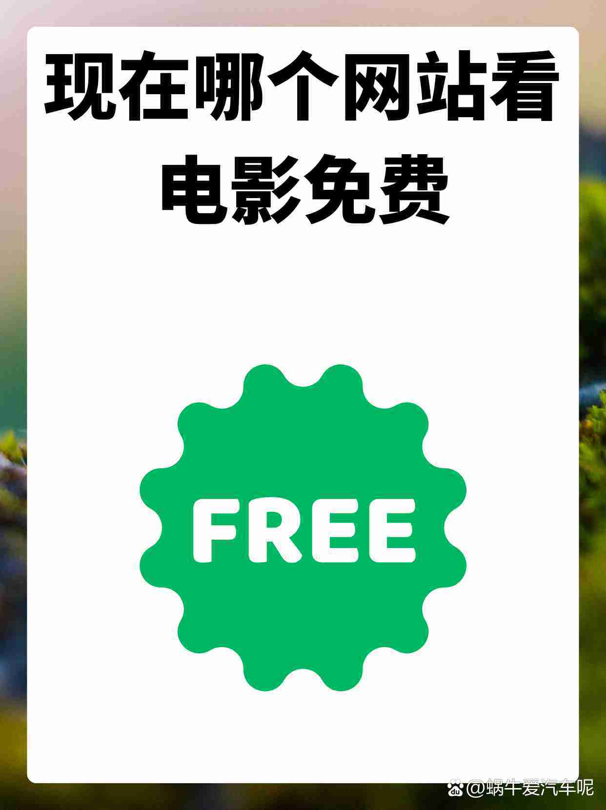 80s电影网电影播放,豪华精英版79.26.45-江GO121，127.13