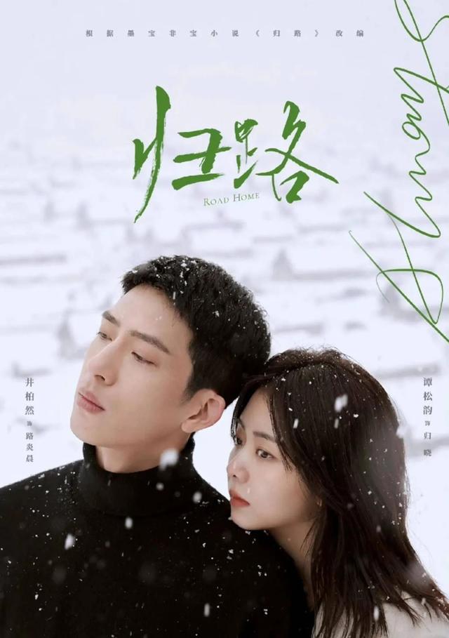 电视剧归路全集免费观看30集完整版,数据解释落实_整合版121，127.13