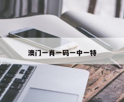 王中王一肖一特一中一,效能解答解释落实_游戏版121，127.12