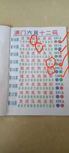香港三期内必开三肖,效能解答解释落实_游戏版121，127.12