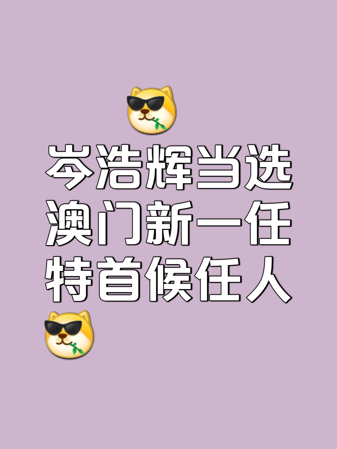 2025年4月3日 第26页