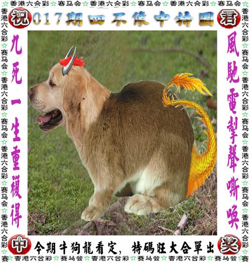香港正版最准资料,最新热门解析实施_精英版121，127.13