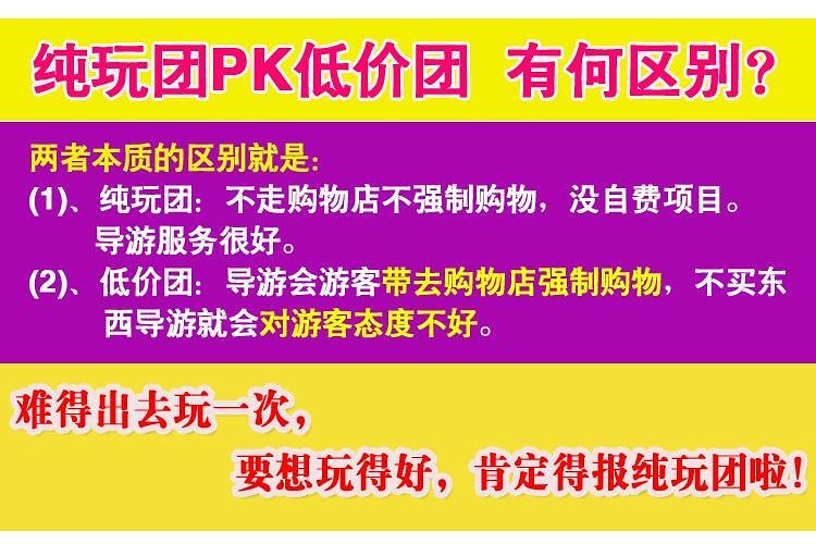 2024o澳门免费资料,效能解答解释落实_游戏版121，127.12