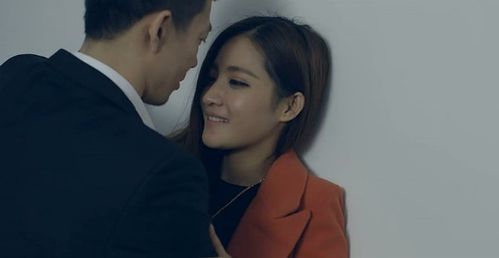 804影视网剧情篇在线,准确答案解释落实_3DM4121，127.13