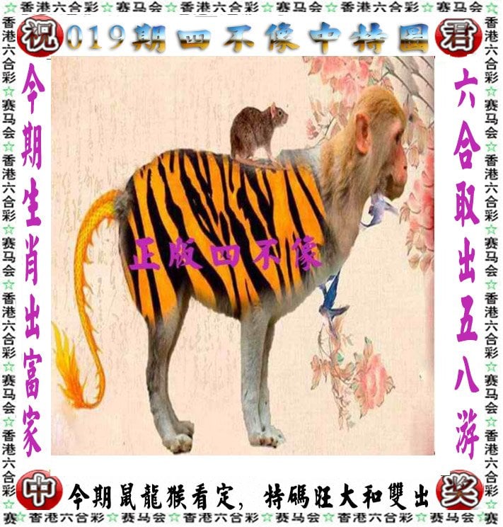 澳彩全年历史资料库,效能解答解释落实_游戏版121，127.12