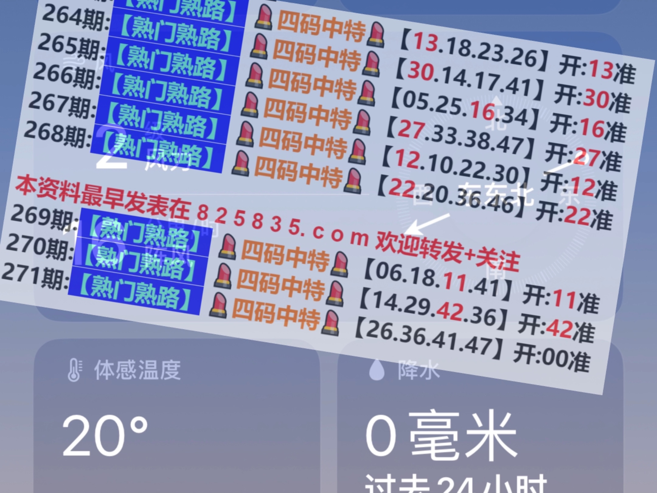 2025年4月3日 第13页