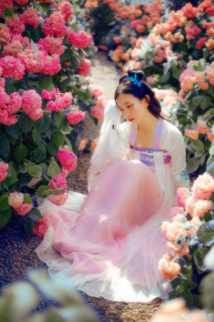 花吃了那女孩电视剧,资深解答解释落实_特别款72.21127.13.