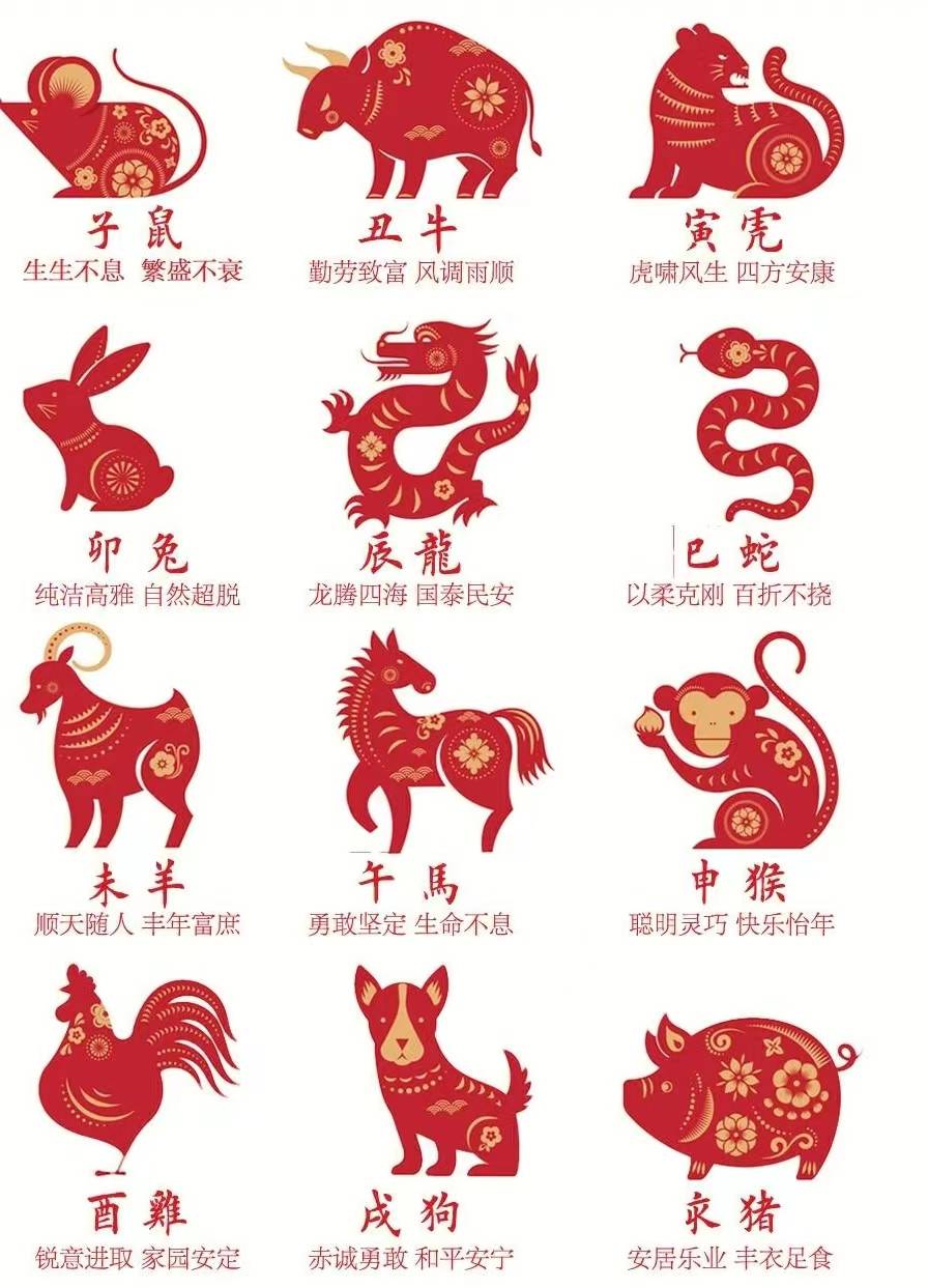 2024澳门生肖灵码表,数据整合方案实施_投资版121，127.13