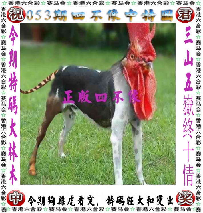 澳门三肖三码精准00,最新热门解析实施_精英版121，127.13