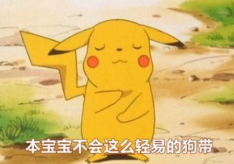 不轻易狗带什么意思,效能解答解释落实_游戏版121，127.12