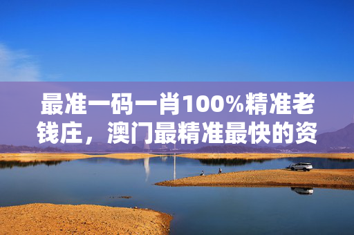 澳门今晚一肖一码100精准,效能解答解释落实_游戏版121，127.12