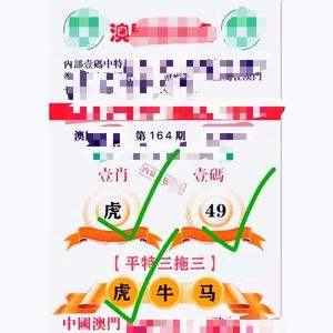 澳门选一肖一码期预测准确率,最新答案动态解析_vip2121，127.13