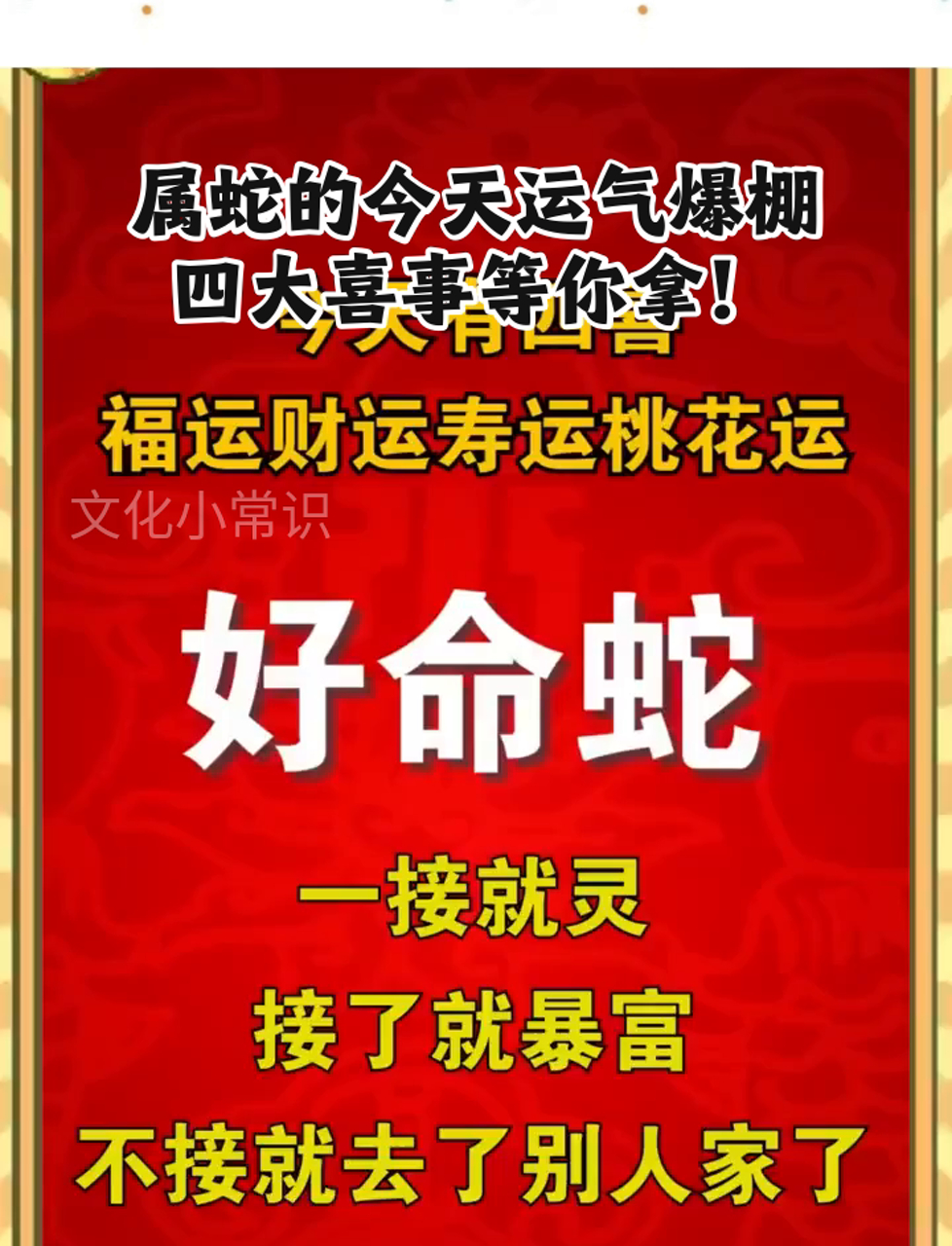 属蛇人今日最准的运势,数据整合方案实施_投资版121，127.13