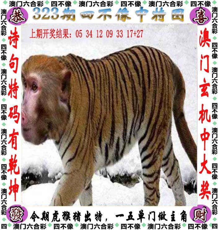澳门一肖一码100精准2024,最新答案动态解析_vip2121，127.13