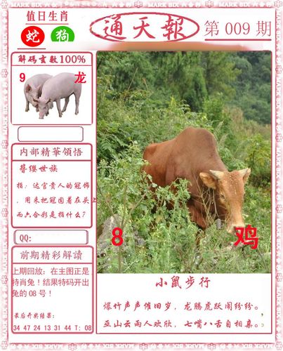 2023澳门全年资料大全正版资料免费八码,最新答案动态解析_vip2121，127.13