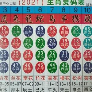 今晚一定出准确生肖,数据整合方案实施_投资版121，127.13