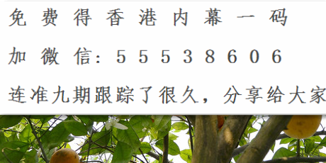 澳门三中三精准网站