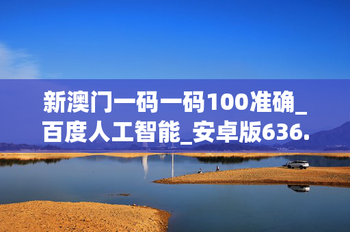 新澳门内部一码精准公开网站,效能解答解释落实_游戏版121，127.12