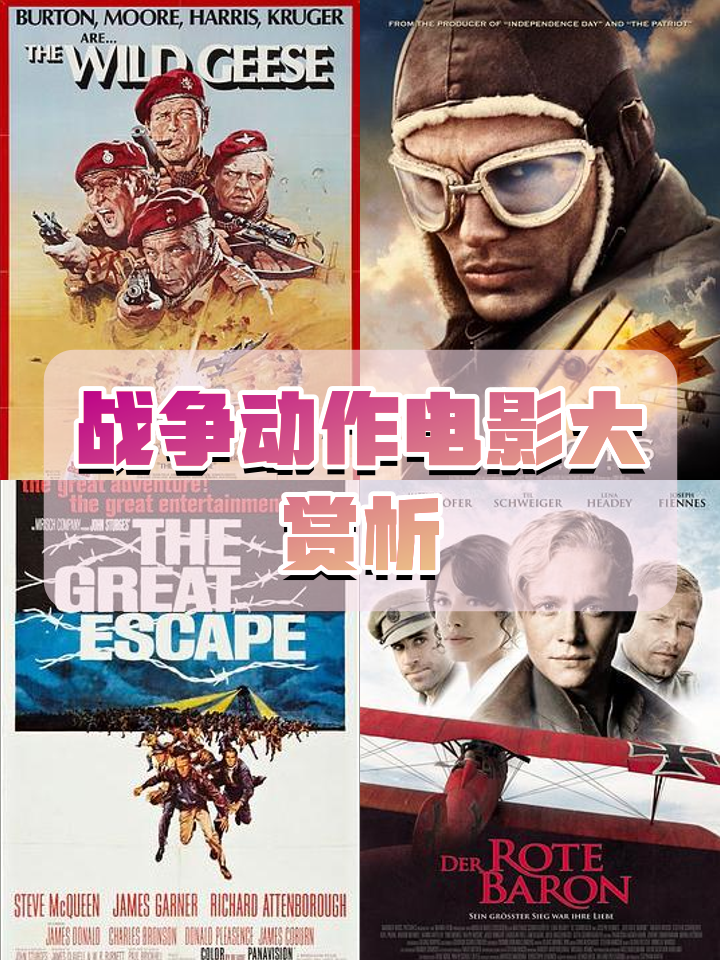 比较好看的战争电影排行榜,最新热门解析实施_精英版121，127.13