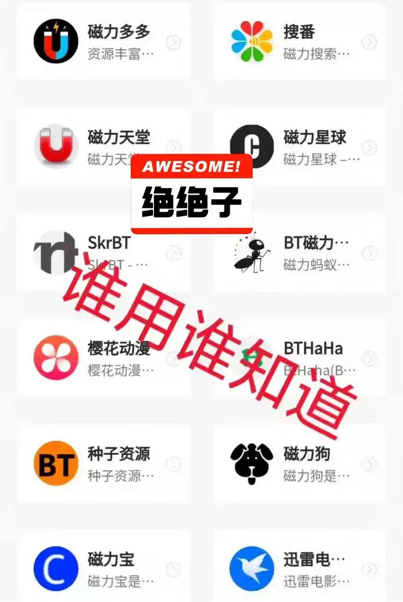 BT种子磁力,最新答案动态解析_vip2121，127.13