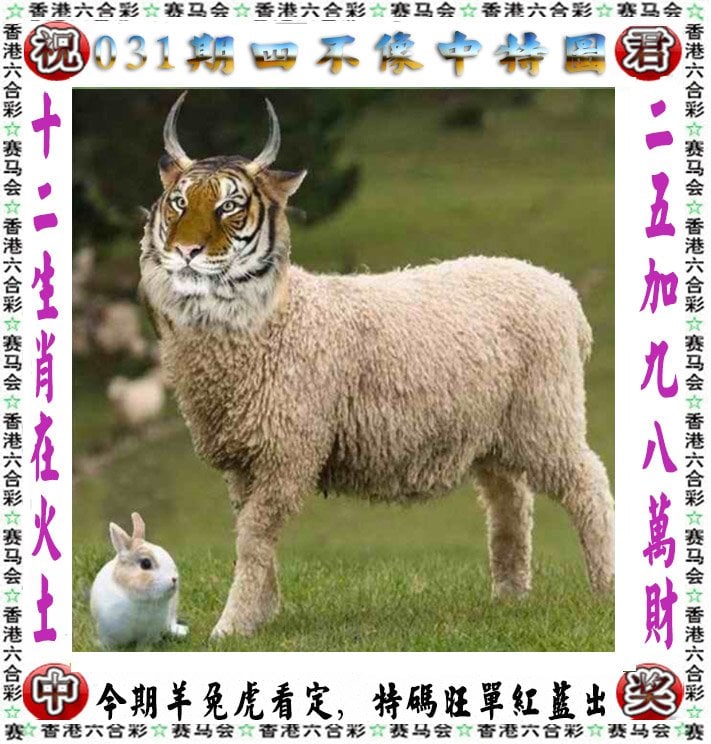 红姐论坛精准一肖,数据解释落实_整合版121，127.13